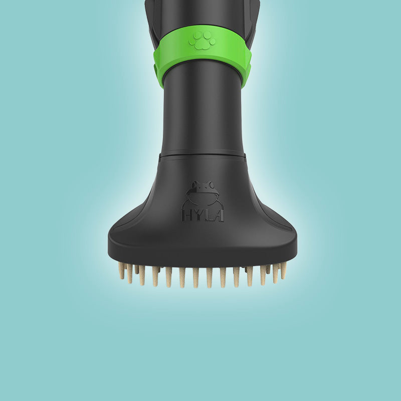 BROSSE ANIMAUX A PICOTS RIGIDES ( verte )