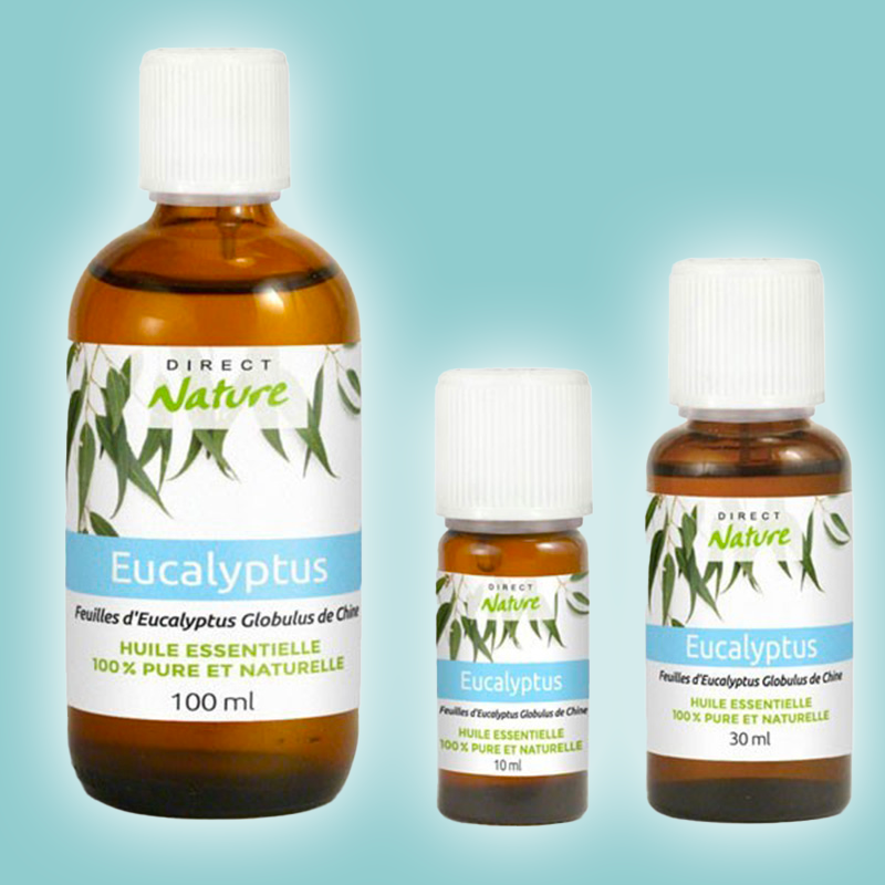 Eucalyptus