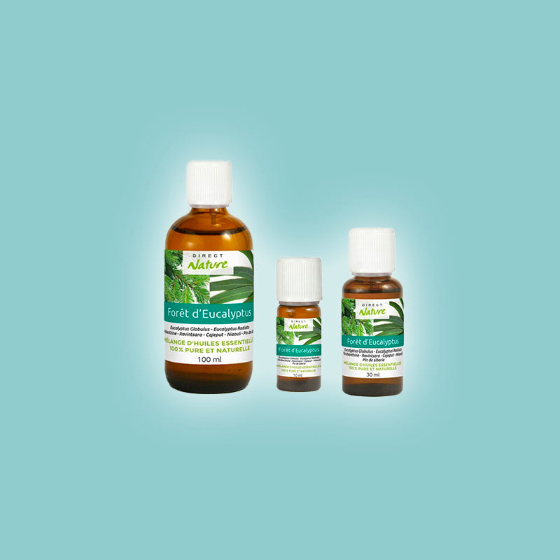 Forêt d'eucalyptus
