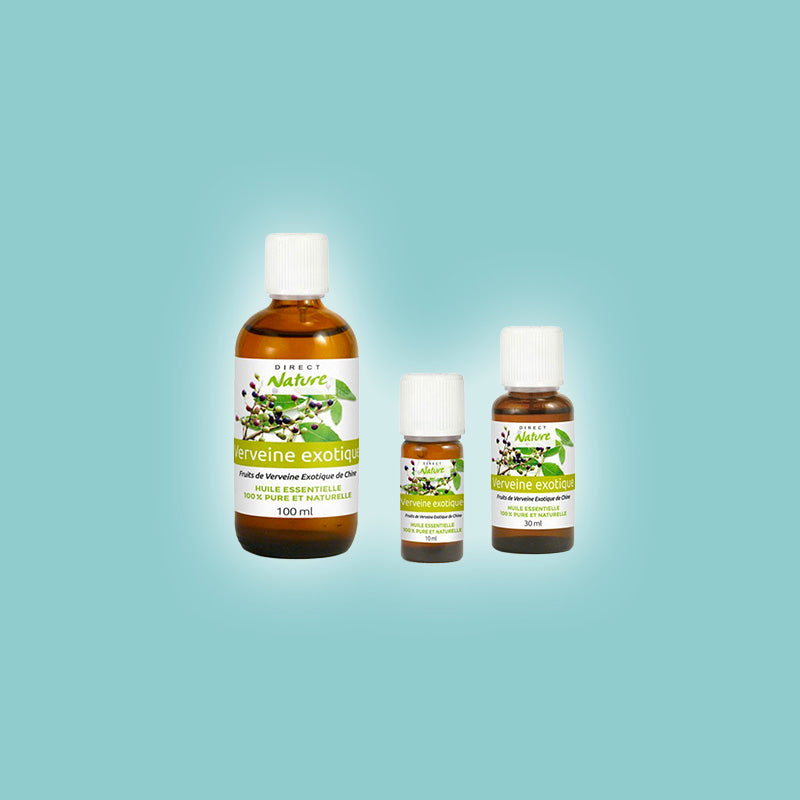 Verveine exotique