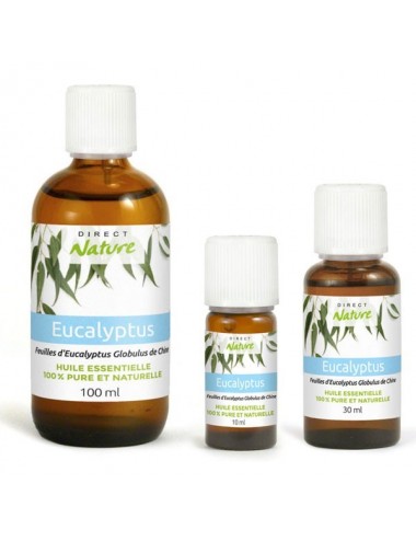 Eucalyptus