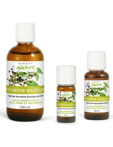 Verveine exotique