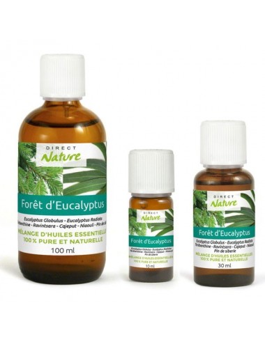 Forêt d'eucalyptus